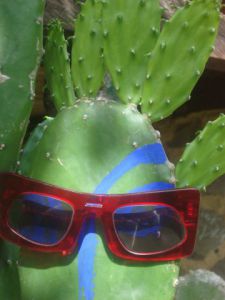 Voir le détail de cette oeuvre: Cactus avec lunette