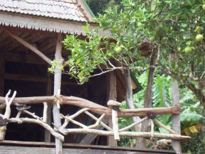 party of the end of the world party of the end of the world